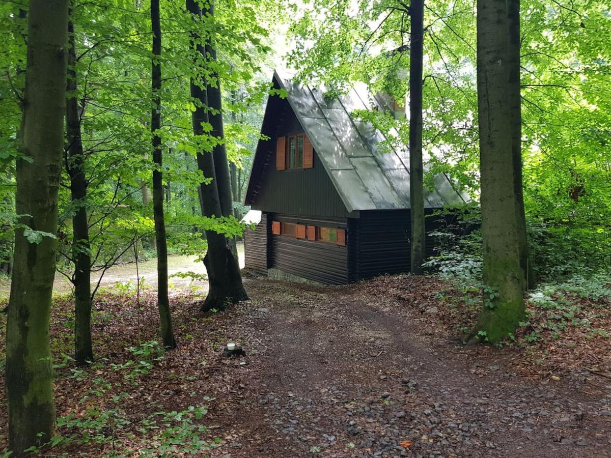 Slovak Cottage Near Bratislava In The Heart Of The Carpathians Modra Exteriér fotografie